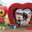 청송사과테마파크 뉴시스