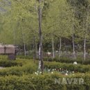 메밀꽃 화장실 이미지