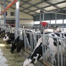 경운목장 이미지