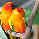 辛基燮 英韓詩 사막의 장미석 감상글 &amp; 제4부 ＜英韓詩 全文:태화교를 건너며/Crossing Taewha Bridge＞ 이미지