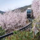 숲으로(주)