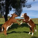 UR(의정부시)-[평화로]-하-29 | 01. 하늘이 말도 안되게 예쁘더라