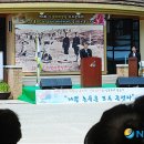 김삿갓면-15 이미지