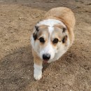 죽빵훈련소 이미지