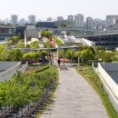 세종시민체육관 체육관 이미지