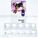 정동물약국 이미지