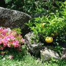 오월펜션 이미지