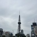 나고야스시덕 | 나고야 근교 여행 다카야마 시라카와고 버스투어 후기