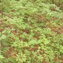 태기산농장 이미지