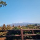 삼우농원 이미지