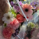 청아꽃집 - 고양시 일산동구 은마길 129 | 청아꽃집