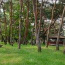 장풍숲화장실 이미지