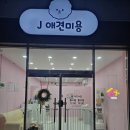 제이 애견 미용 이미지