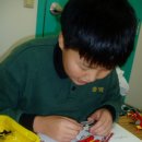 중앙기독초 이미지