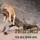 디짐(D-gYm) 이미지