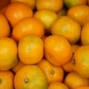 에바다농장 이미지