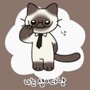 고야미 이미지