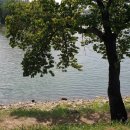 의림지민박 이미지