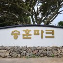 카카오 이미지