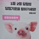 월평카센타 | 대전 월평동, 로또 1등 명당, 스포츠토토, 연금복권, 즉석복권, 복권판매점(대일슈퍼)