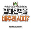 밥대신 먹을수있는 배추레시피 이미지