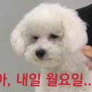 지금 이미지