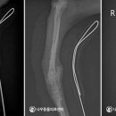 서산동물병원 이미지