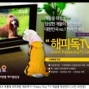 해피독(happy dog) 이미지