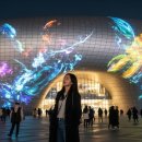 [8월 디지털배움터 1반] 스마트폰 완전정복 1 | 서울 야경 명소에서 열리는 빛 축제, 서울라이트 DDP 가을 완전 정복