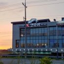 정코다리 이미지