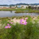 양촌면사무소 이미지