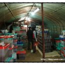 신영주농장 이미지