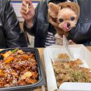 잊혀진 이름 전주의 유관순들 | 전주 애견동반 여행코스｜강아지랑 어디까지 갈 수 있을까? 실제 다녀온 후기