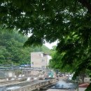 신기송어장횟집 이미지