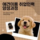프로펫애견종합전문교육원