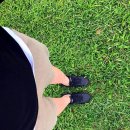 마라도복어 이미지