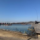 안양바다낚시터 | [단짠도시락] 화성 배달도시락 / 점심도시락 / 단체도시락 / 행사도시락 / 배달도시락추천 / 점심메뉴...