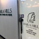 하라힐즈 프리미엄 허브테라피