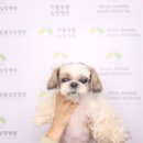 경상국립대학교 동물의료원 이미지