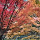 한천자연휴양림 이미지