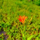 윤성세탁소 이미지