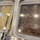 양반코다리 거제옥포점 이미지