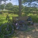 황구지천 자전거길(하천) | 불볕더위 속 수원 황구지천 라이딩과 의왕 왕송호수 연꽃 나들이 힐링 후기