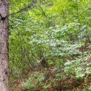 비산체육공원 이미지