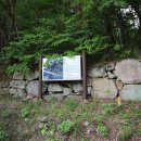 완도수목원 가로수길 이미지