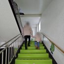 여주곤충박물관 이미지