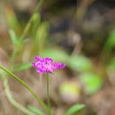 원동재로 이미지