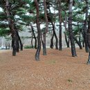 담티고가교 이미지