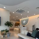 가까운동물병원 | 푸른별안과동물병원 백내장수술후기