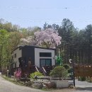 아갤러리 이미지